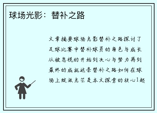 球场光影：替补之路