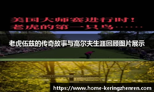 开云真人